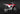 Yoshimura Komplet Udstødning